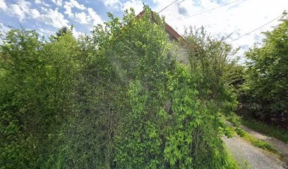 La Tanière des Diamants Blancs, Élevage de Husky de Sibérie., Eleveur de Chiens à Saligny-sur-Roudon