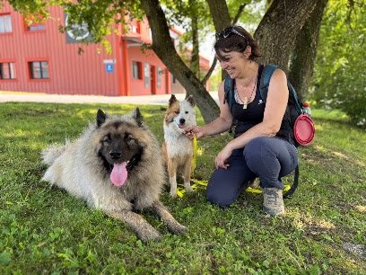Chien Et Vous, Dresseur De Chiens à Lucenay
