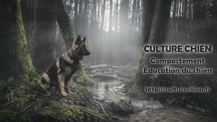 Culture Chien, Dresseur de Chiens à Vélizy-Villacoublay