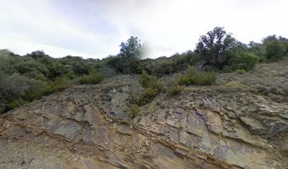 Elevage de Samoyède des Chasseresses Opalines, Eleveur de Chiens à Pardailhan