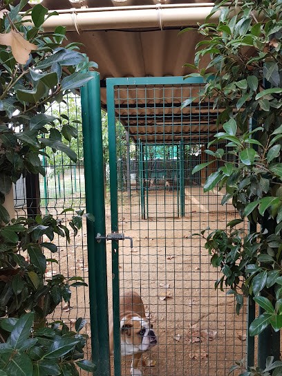 Pension Canine De La Loube, Pension pour Chiens à Néoules