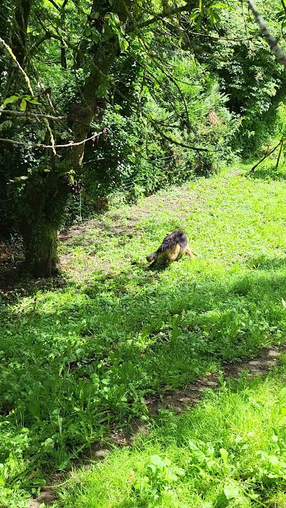 Kennel From Savigneux, Pension pour Chiens à Savigneux