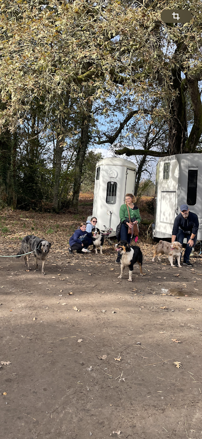 De La Main À La Patte By Emma, Dresseur De Chiens à Saint-Laurent-Médoc
