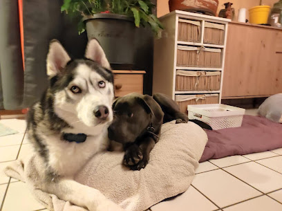 La Bande À Nathou, Pension Pour Chien à Annecy