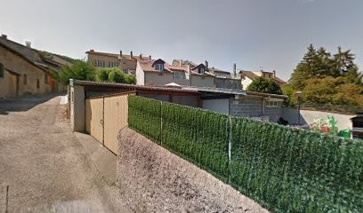 Dalmatien de Dornot, Eleveur de Chiens à Ancy-Dornot