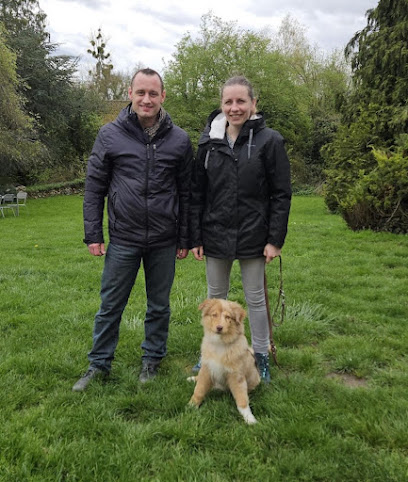 Aec - Aisne Éducation Canine Dresseur De Chiens à Saint-Quentin