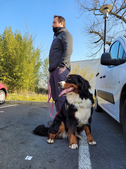 Jb L'éducateur Canin À Domicile., Dresseur De Chiens à Saint-Colomban