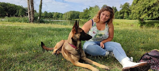 Sourire de chien, Dresseur de Chiens à Varennes-Changy
