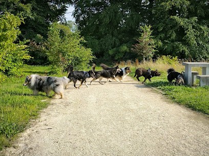 La Clé Du Chien, éducateur Comportementaliste Canin, Dresseur de Chiens à Saint-Romain-de-Colbosc