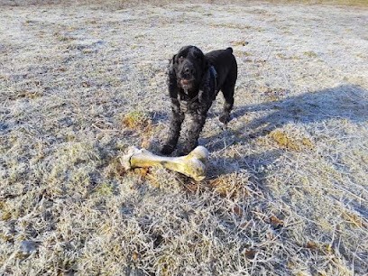 La ch'tite colo, pension canine., Pension pour Chiens à Marcolès