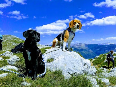 Dog's mind - Educateur canin et comportementaliste, Dresseur de Chiens à Saint-Chéron