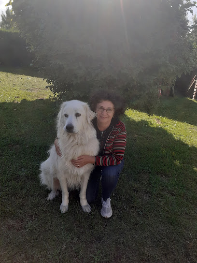 Toutous Épanouis, Pension Pour Chien à Saint-Pierre-du-Mont