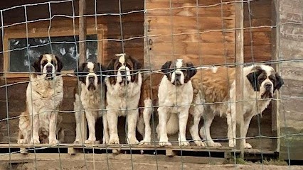 Elevage du Mas de Jalnot, Eleveur de Chiens à Champoly