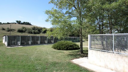 Teulières Patrick, Eleveur de Chiens à Puygaillard-de-Quercy