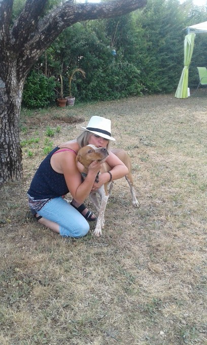 crèche canine 04, Pension pour Chiens à Château-Arnoux-Saint-Auban