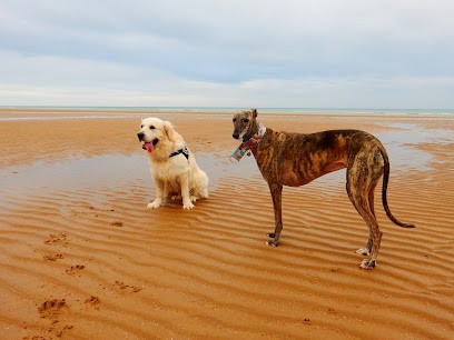 Pension Canine Comme à La Maison, Pension pour Chiens à Asnières-en-Bessin