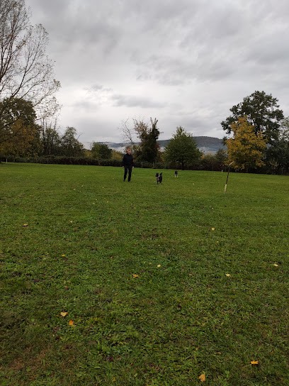 Training Club Canin De Wissembourg, Dresseur de Chiens à Wissembourg