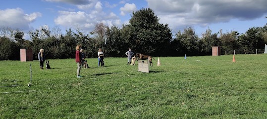 Sport Canin Sabolien, Dresseur de Chiens à Sablé-sur-Sarthe