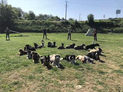 CSECSA, Dresseur de Chiens à Volx