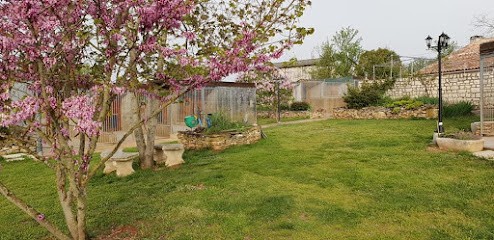 Des Pat O' Cou - Centre De Vacances Pour Chiens, Pension pour Chiens à Esclauzels