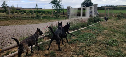 Elevage des lutins du darigat, Eleveur de Chiens à Saint-Bonnet-de-Rochefort