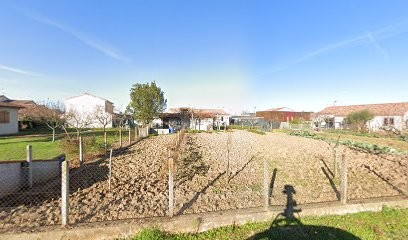 Elevage Des Plaines Du Mauran, Eleveur de Chiens à Gaillac