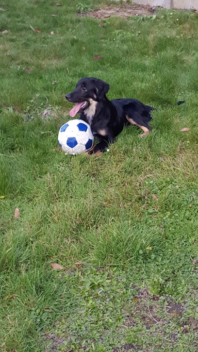 Le Relais Canin Des Broussetieres, Pension pour Chiens à La Peyratte