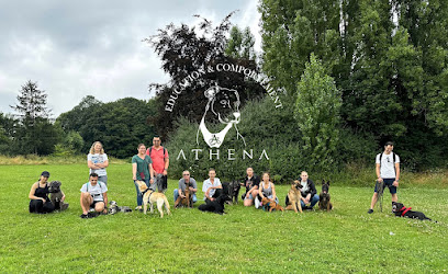 Athena Éducation Dresseur De Chiens à Pontault-Combault