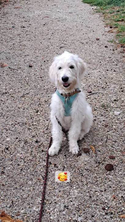 ABCD Du Chien, Dresseur de Chiens à Reignac