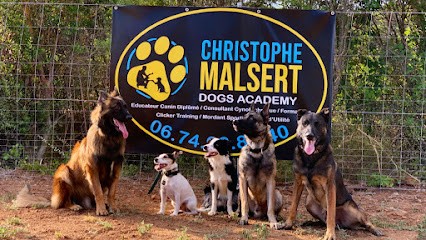 DOGS ACADEMY & SERVICES, Dresseur de Chiens à Tourves
