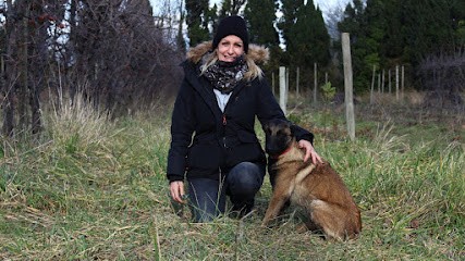 DogSérénity84 CENTRE CANIN, Dresseur de Chiens à Roussillon