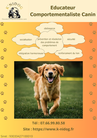 K'nidog - Éducateur Comportementaliste Canin Dresseur De Chiens à Wattignies