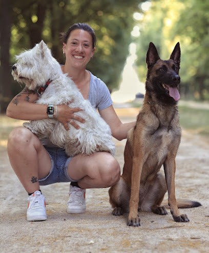 Paw Spirit Educateur canin, Dresseur de Chiens à Paris 14