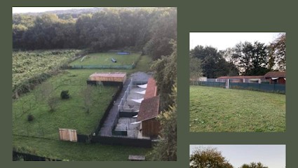 Pension Canine Du Clair Soleil, Pension pour Chiens à Morlanne