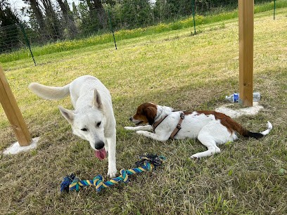 Etho Animal - Club Canin à Monteux - Éducation Bienveillante, Agility, Ateliers Et Formations, Dresseur de Chiens à Monteux