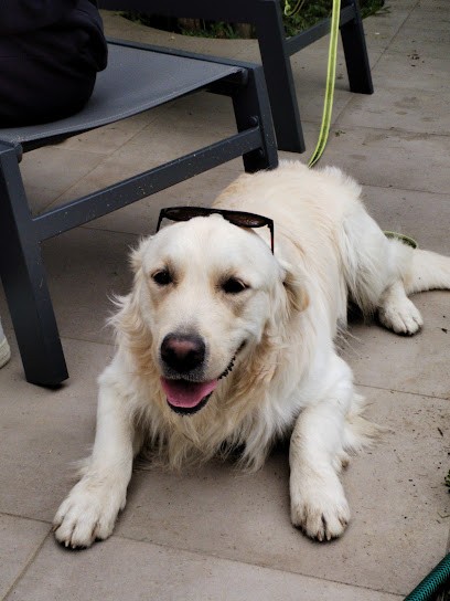 EARL LA PASSE DE L'EIDER, Eleveur de Chiens à Châtillon-la-Palud