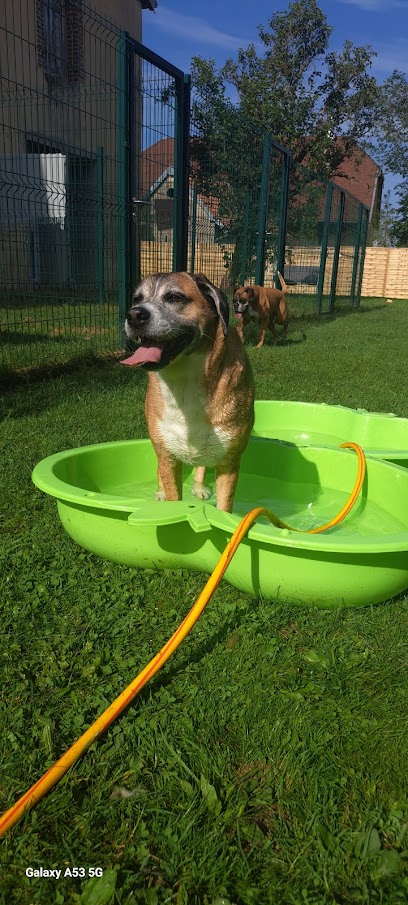 Pension Canine Aux Doux Rêves, Pension Pour Chien à Boujailles