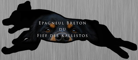 Fief des kallistos, Eleveur de Chiens à Tuffé Val de la Chéronne