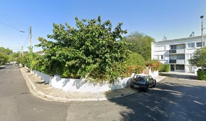 LET'S DOG IT!, Dresseur de Chiens à Montpellier