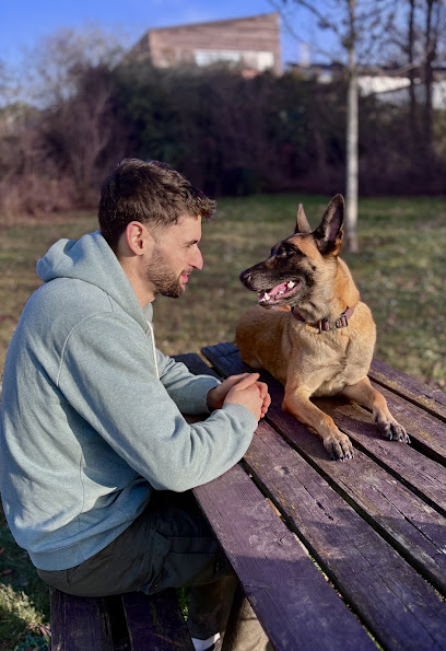 Cani'leman, Dresseur De Chiens à Thonon-les-Bains