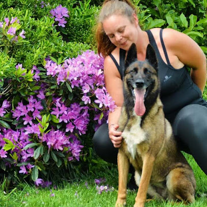 Éducateur Canin Respectdogs Bernay Dresseur De Chiens à Bernay