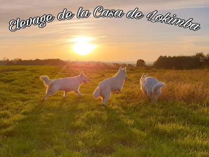 Élevage de la Casa de Lokimba, Eleveur de Chiens à Hardinghen