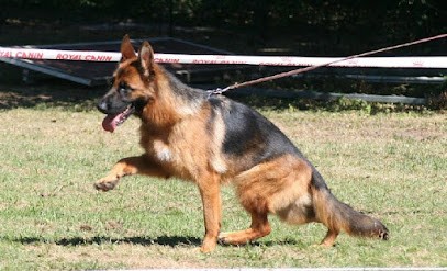 Elevage Du Val De Siagne, Eleveur de Chiens à Pégomas