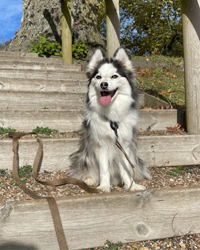 La Vallée Du Pomsky, Eleveur de Chiens à Artannes-sur-Indre