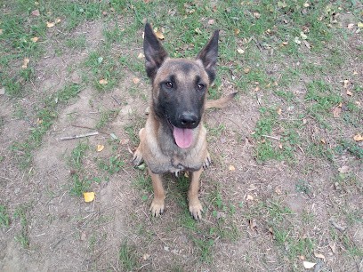 Unité De Secours Et Cynotechnie Mobile, Dresseur de Chiens à Saint-Cyprien