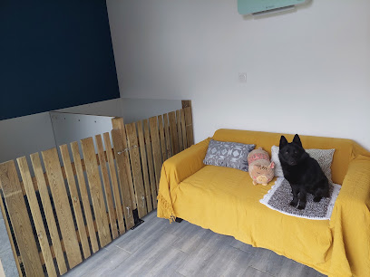 Toutou Et Grosminet, Pension Pour Chien à Blanzac
