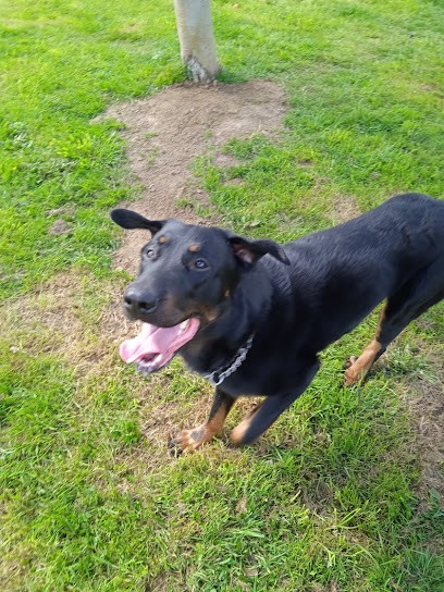 Le Domaine Du Four Blanc, Pension pour Chiens à Ploumagoar