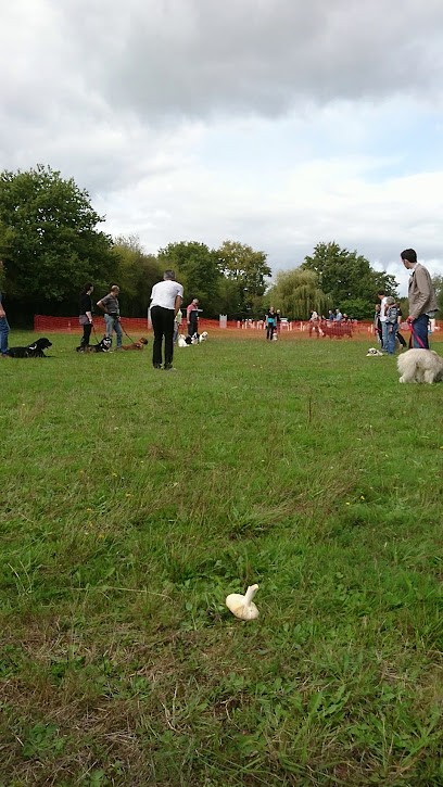 Club Angevin D'éducation Canine, Dresseur de Chiens à Tiercé