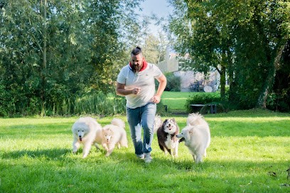 Aux Bonheurs Des Chiens : Éducateur Canins Diplômé D'état - Garde De Chiens, Pension pour Chiens à Hattencourt