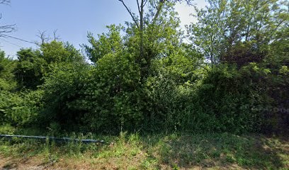 Colo'niche, Pension pour Chiens à Courthézon